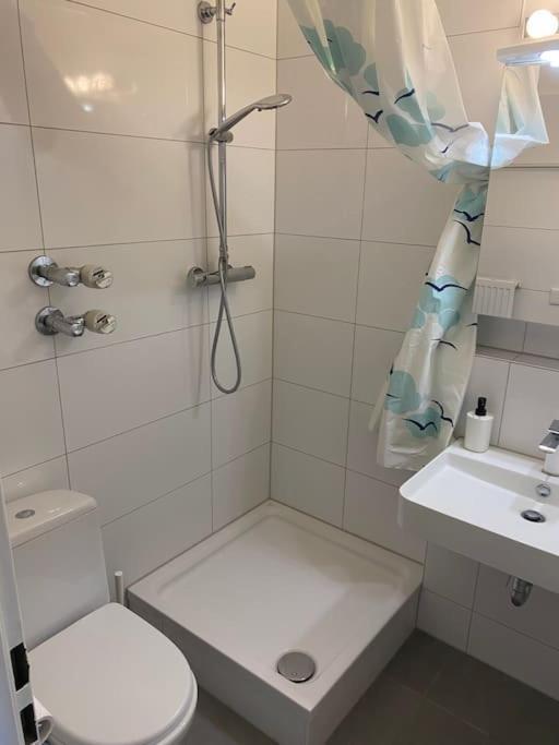 Schoene, Kleine, Gemuetliche Wohnung - Stadtmitte マインツ エクステリア 写真